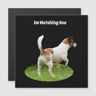 Fox Terrier en service de garde, carte magnétique