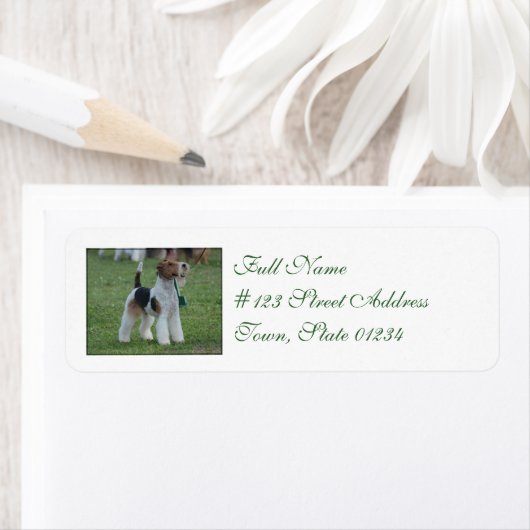 Fox Terrier Etiket (Insitu)