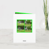 Fox Terrier, fotocollage, Small Birthday Kaart (Achterkant)