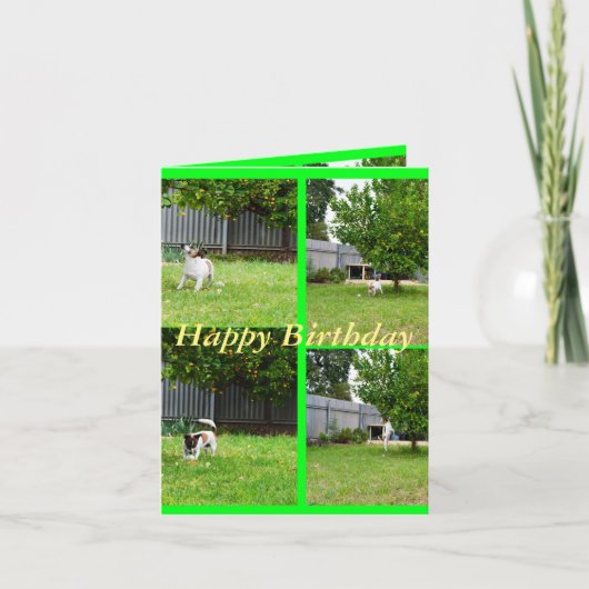 Fox Terrier, fotocollage, Small Birthday Kaart (Voorkant)