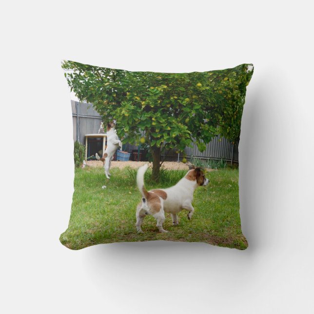 Fox Terrier Jouer Temps Jouer Coussin (Recto)
