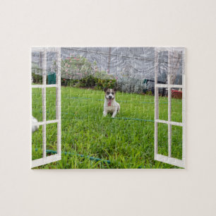 Fox Terrier Kom spelen, puzzel Legpuzzel