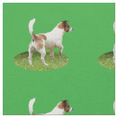 Fox Terrier Le Stance, Tissu (Fermer)