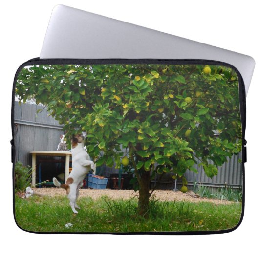 Fox Terrier: lep, laptophoes Laptop Sleeve (Voorkant)