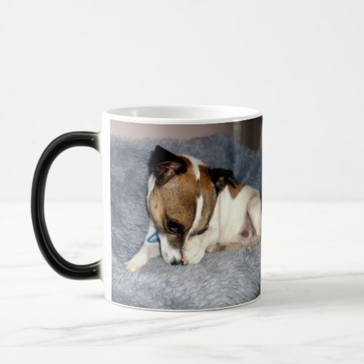 Fox Terrier, Oh Si Shy, Mug À Café Magique Morph. (Gauche)