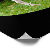 Fox Terrier on Guard Duty, Poster (Hoek)