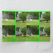 Fox Terrier, Photo Collage, Big Birthday Kaart (Binnen)
