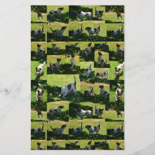 Fox Terrier Photo Collage Briefpapier
