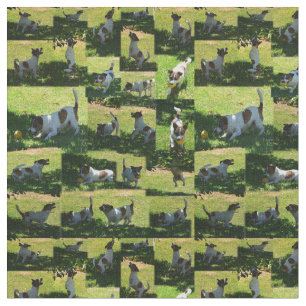 Fox Terrier Photo Collage Stof
