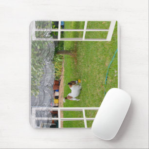 Fox Terrier Play Ball, Mousepad Muismat