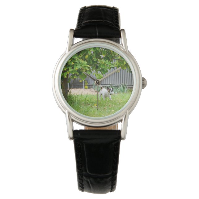 Fox Terrier Scare Face Dames Black Leather Watch Horloge (Voorkant)