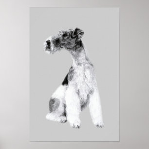 Fox Terrier-tekening Poster