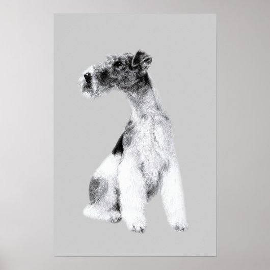 Fox Terrier-tekening Poster (Voorkant)