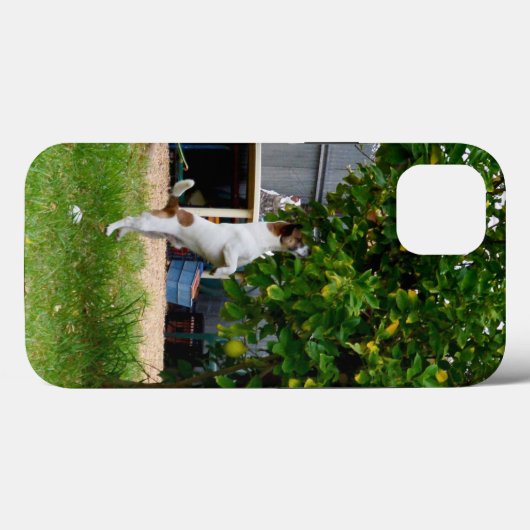Fox Terrier The Leap, iPhone 13 Hoesje (Achterkant (horizontaal))
