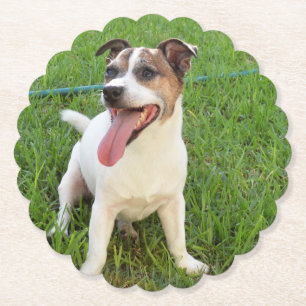 Fox Terrier, Tongue in Cheek, Kartonnen Onderzetters