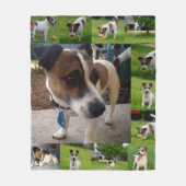 Fox Terriers in een fotocollage, Fleece Deken (Voorkant)
