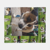 Fox Terriers in een fotocollage, Fleece Deken (Voorkant (Horizontaal))