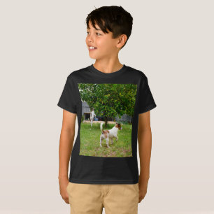 Fox Terriers Playtime, Boys Black T-shirt