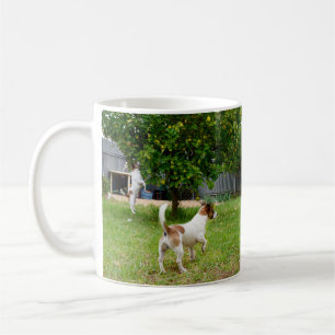 Fox Terriers Playtime, Mug café blanc