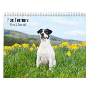 Fox Terriers Wire & Smooth 2027 Kalender