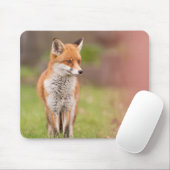 Fox Vixen Mouse Mat Muismat (Met muis)
