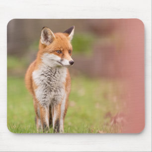 Fox Vixen Mouse Mat Muismat