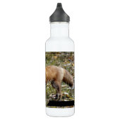 Fox Waterfles (Rechts)