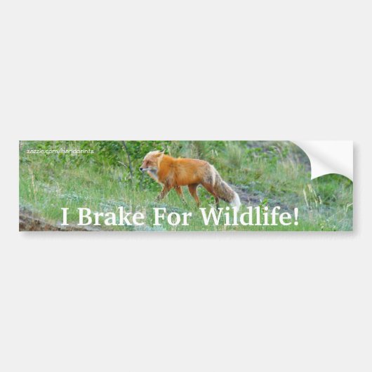 Fox Wildlife Protection Bumpersticker (Voorkant)