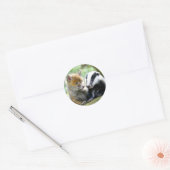 Foxcub en Badger Cute! Ronde Sticker (Envelop)