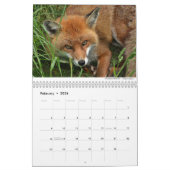 Foxes 2021, ingediend door Chris Milligan Kalender (Feb 2026)