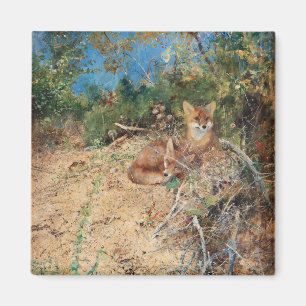 Foxes, Bruno Liljefors Magneet