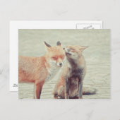 Foxes in liefde! briefkaart (Voorkant / Achterkant)