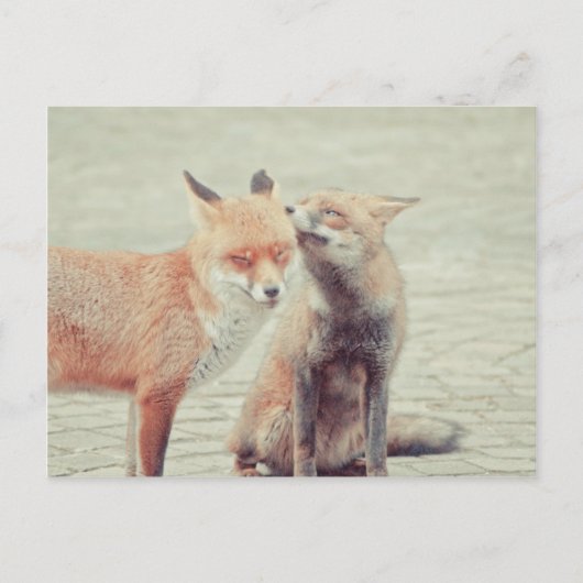 Foxes in liefde! briefkaart (Voorkant)