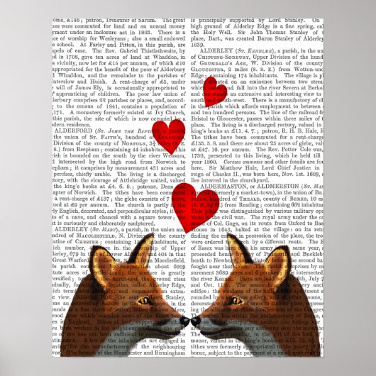Foxes in Love Poster (Voorkant)