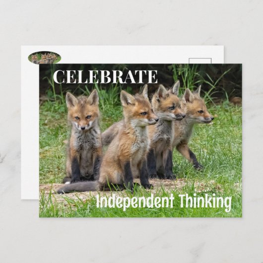 Foxes, onafhankelijk denkend, vieren briefkaart (Voorkant / Achterkant)