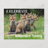 Foxes, onafhankelijk denkend, vieren briefkaart (Voorkant)