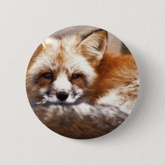 Foxes Ronde Button 5,7 Cm (Voorkant)