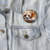 Foxes Ronde Button 5,7 Cm (In situ)