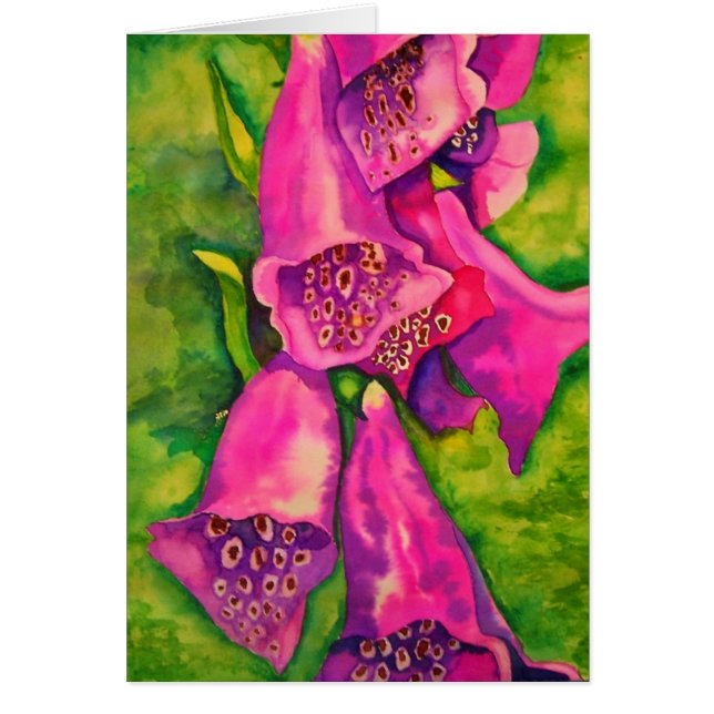 Foxglove (Voorkant)