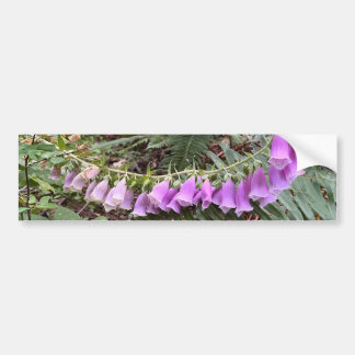 Foxglove bloem foto bumpersticker