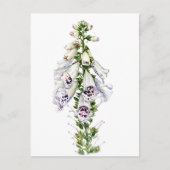 Foxglove Briefkaart (Voorkant)