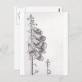 Foxglove Briefkaart (Voorkant / Achterkant)