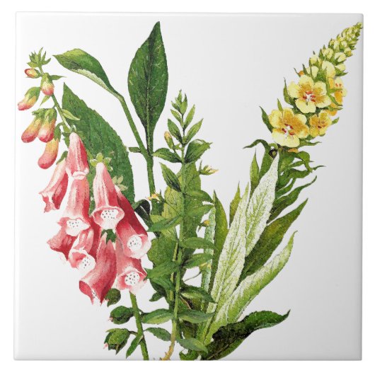 Foxglove Floral Flower Botanical Tile Tegeltje (Voorkant)