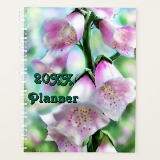 Foxglove Flower Rose violet vert Jardin blanc (Devant)