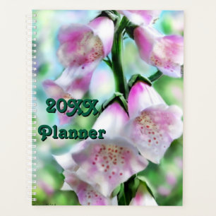 Foxglove Flower Roze Paarse Groen Witte Tuin Planner