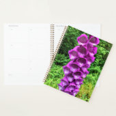 Foxglove Flowers, Oregon (Devant avec enveloppe)