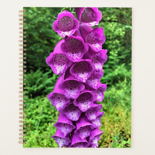 Foxglove Flowers, Oregon (Devant)