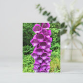 Foxglove Flowers, Oregon Briefkaart (Staand voorkant)