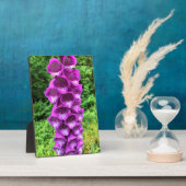 Foxglove Flowers, Oregon Fotoplaat (Zijkant)