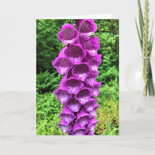 Foxglove Flowers, Oregon Kaart (Voorkant)